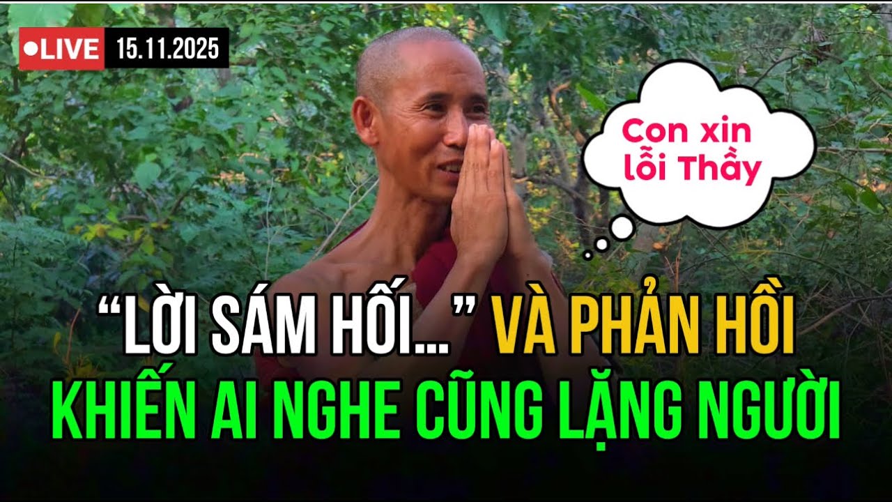 Con Đã Hiểu Sai Về Thầy…– Lá Thư Sám Hối Và Phản Hồi Đầy Từ Bi Của Thầy Minh Tuệ #dauchandauda 