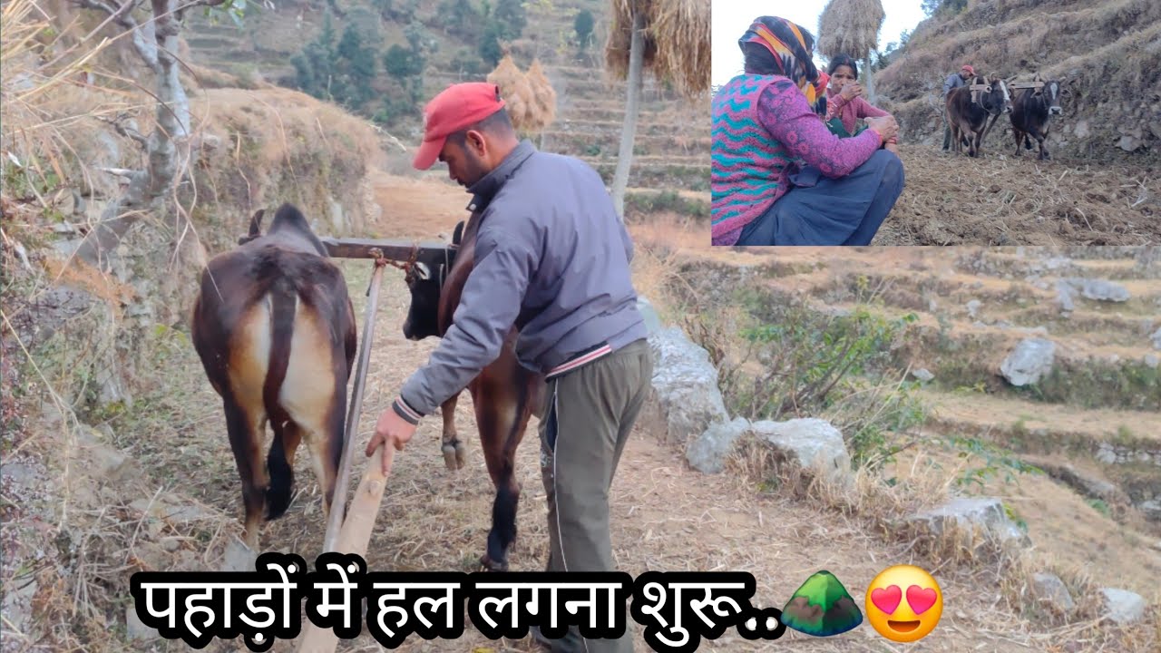  भाई ने ये क्या बोल दिया बैलों के साथ 1000 रुपये free..😅👀।।SaluVlogs।।SahilRawat 