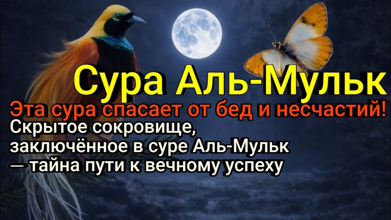 Сокровище, скрытое за сурой Аль-Мульк — слушай аяты Аллаха, и твоя жизнь обязательно изменится