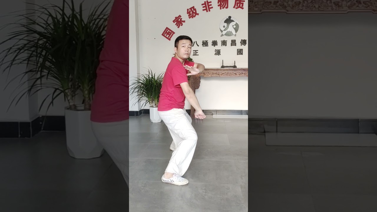 开门八极拳小架一路（慢练教学版）