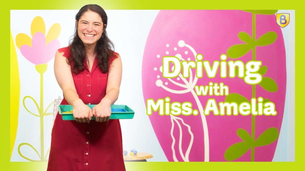 Driving with Miss. Amelia 🚗
