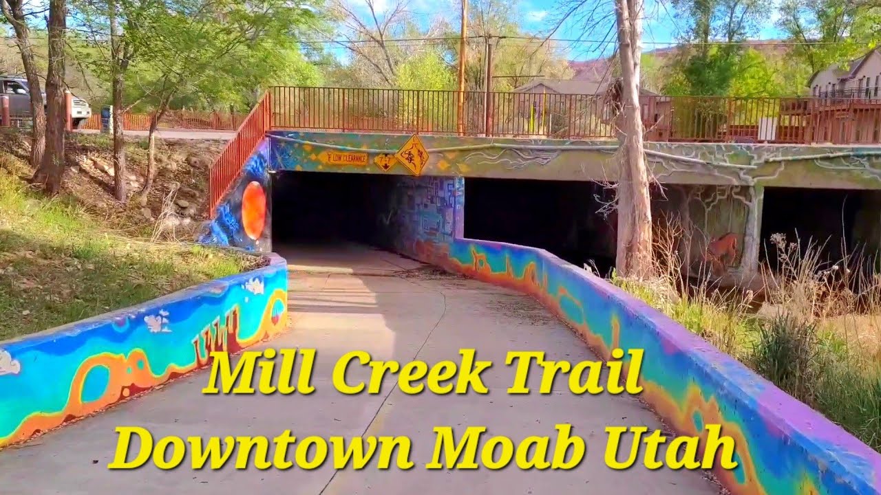 Велотренажер Fat Tad Recumbent Trike на тропе Mill Creek Trail в центре города Моаб, штат Юта