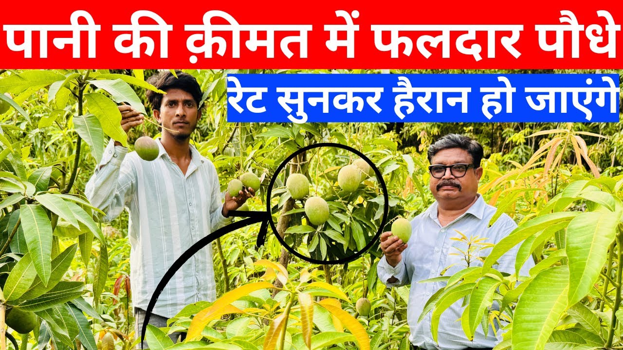 India की Best Online Nursery 🌱 | घर बैठे मंगवाएं पौधे आसानी से | Best Online Nursery in India 2025