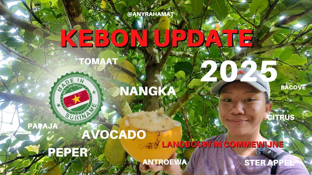 Kebon in Kawna 🌱 | Update na 2 jaar 🌞