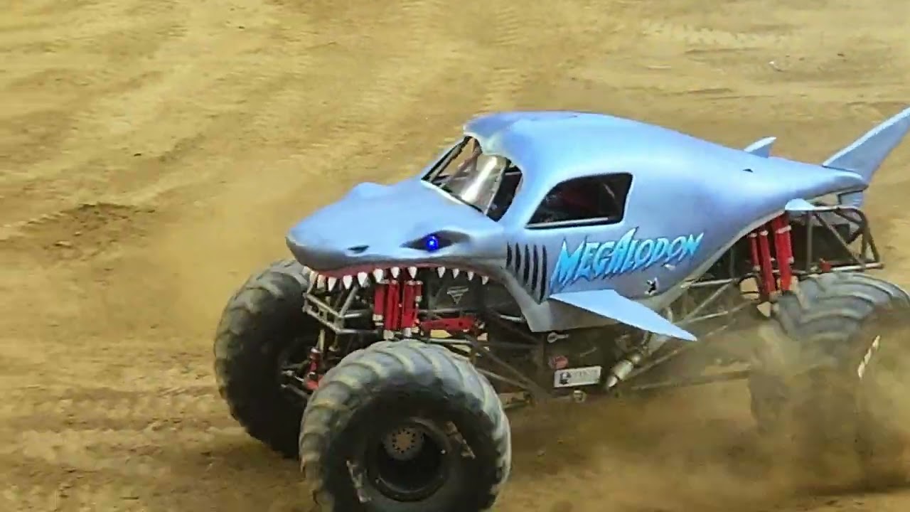 MEGALODON FREESTYLE 