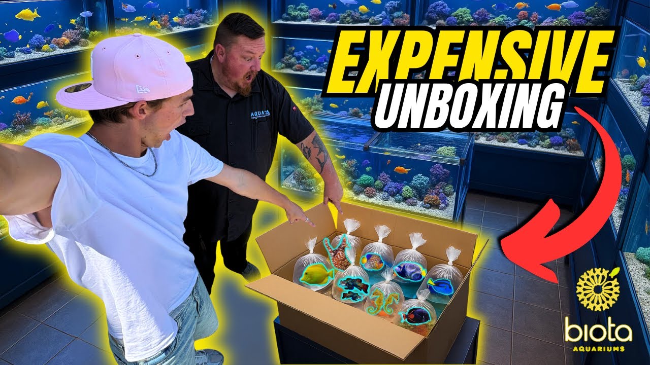 Unboxing Rare Saltwater Aquarium Fish from Biota! | $5,000 Reef Tank Haul & Store Tour