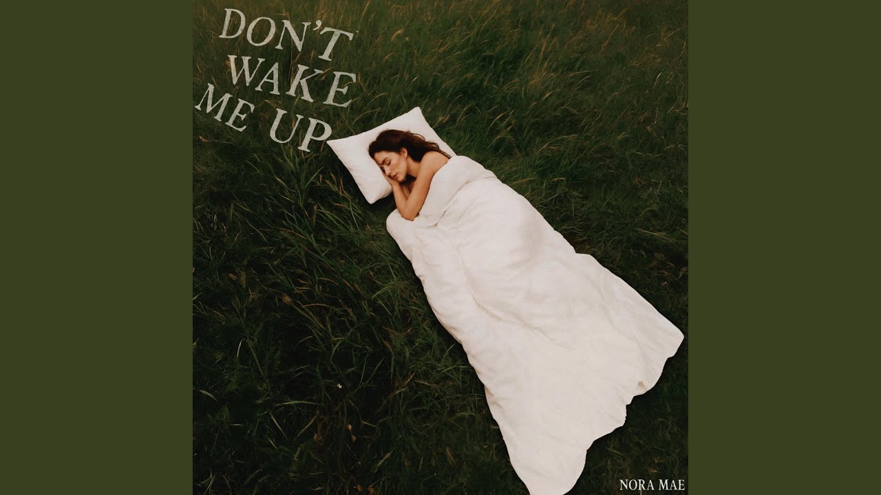 Don't Wake Me Up