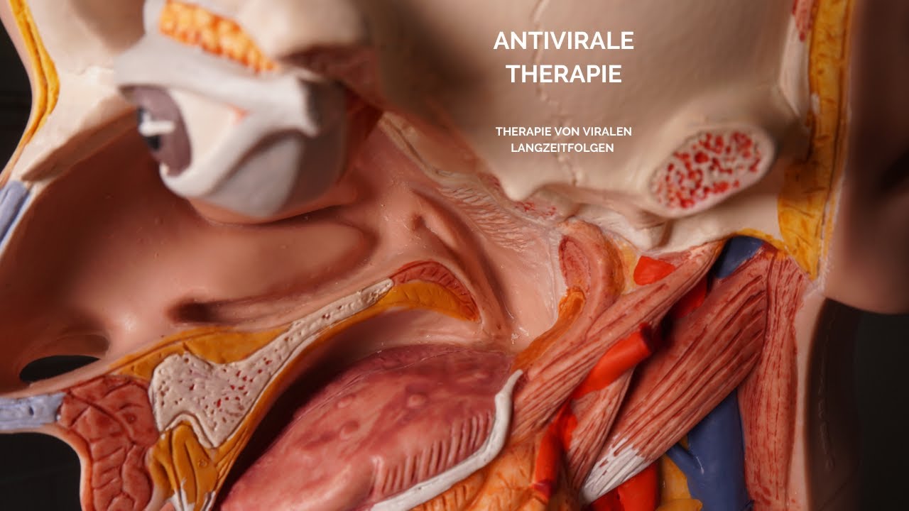 Antivirale Langzeitbehandlung