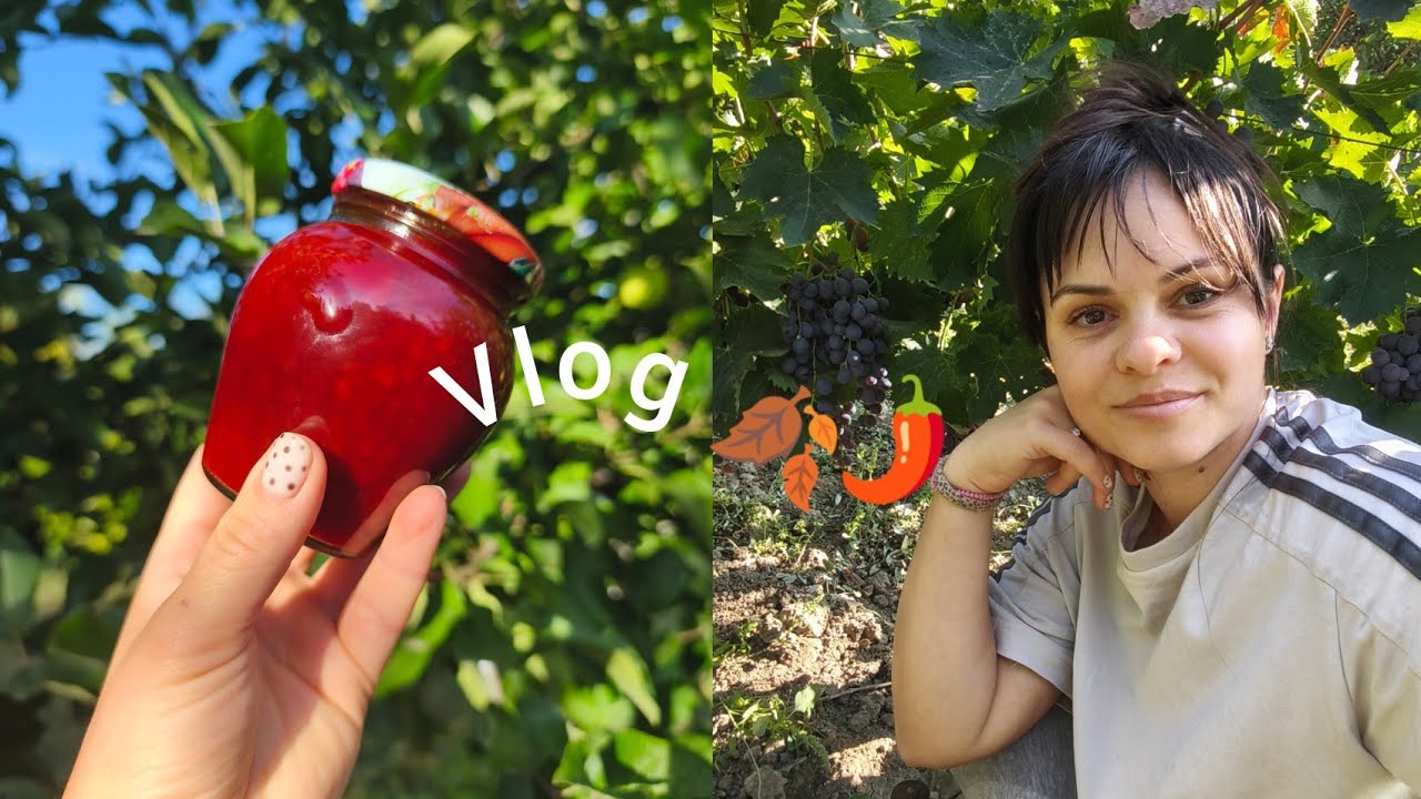 Vlog/Zi de toamnă în bucătărie 🍁 Rețete care încălzesc iarna❄️