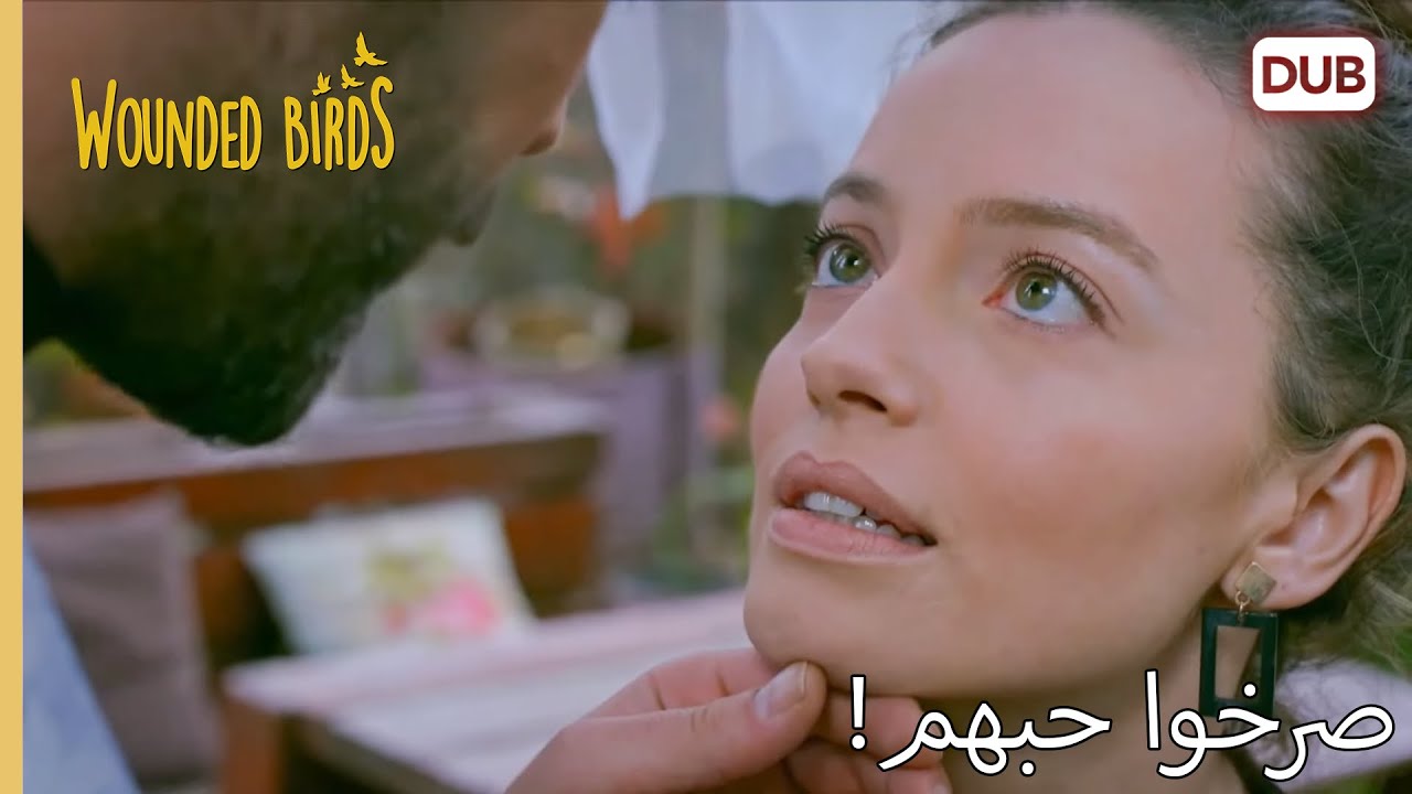 صرخوا حبهم!  |  الطيور الجريحة 200