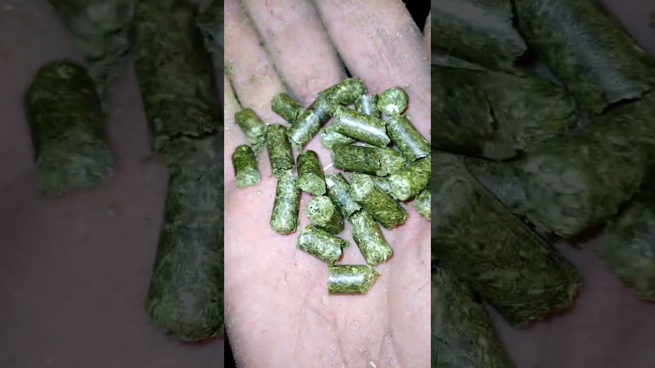 Матрица для травы 1 часть