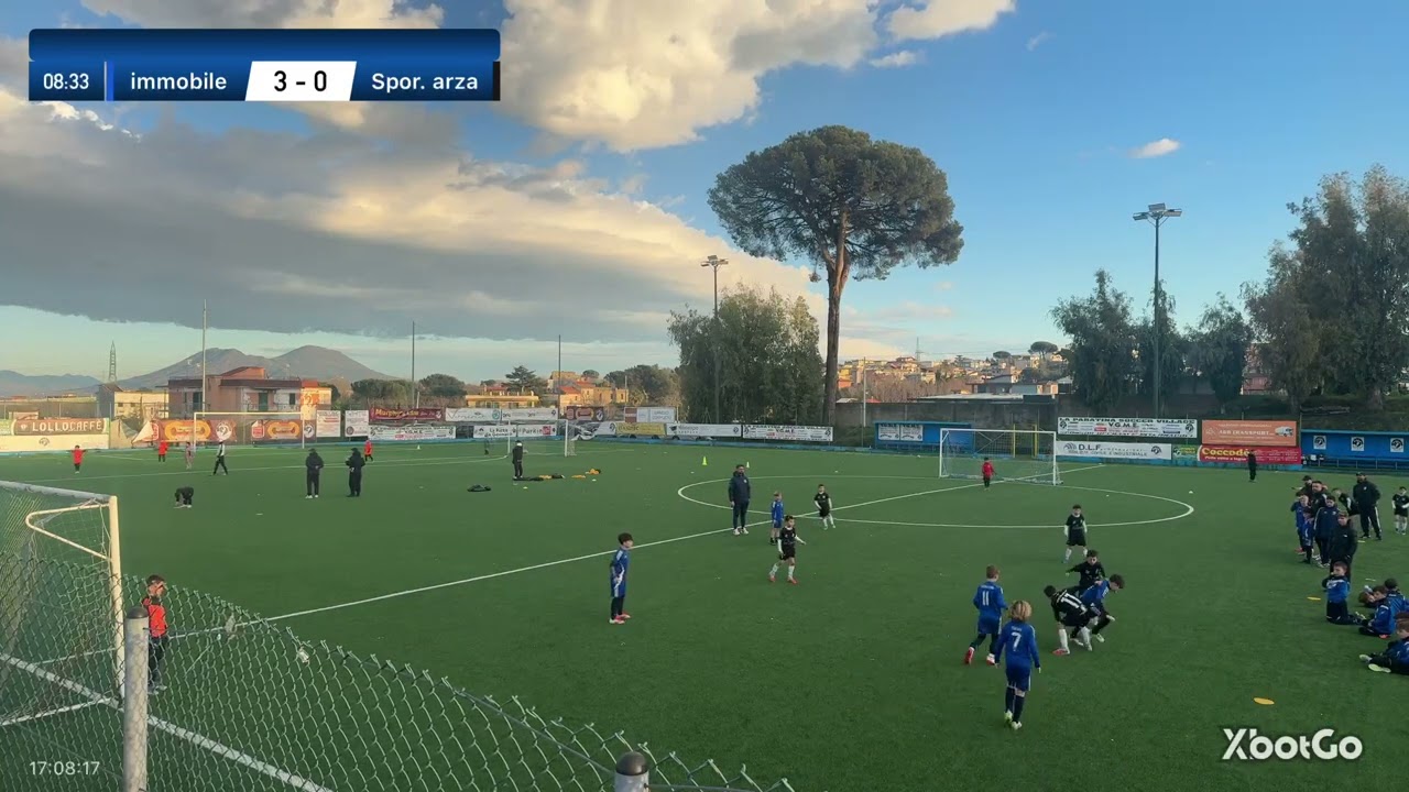 Immobile- sporting arzano 4-1 cat 2017 Viesse sport