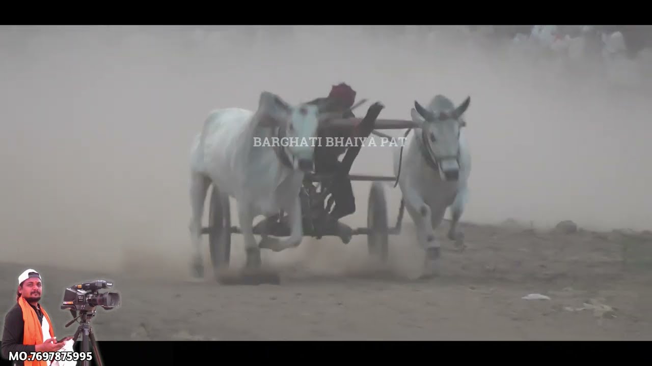All Video Final 🌹 नंगझिर पट फ़ाइनल 😍 Pat प्रतियोगिता 🥰 Ox रेस 😍 Barghati Bhaiya Pat 