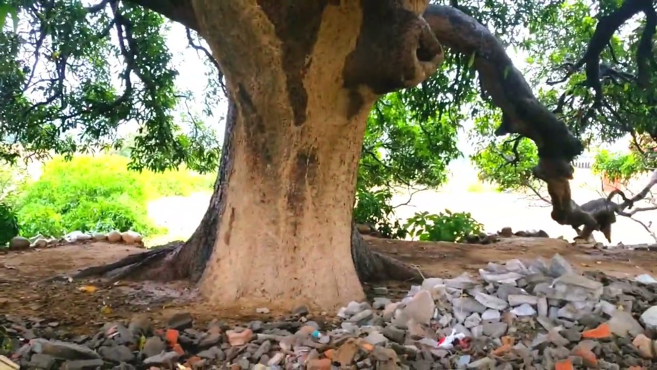 My village Potha sher part 2