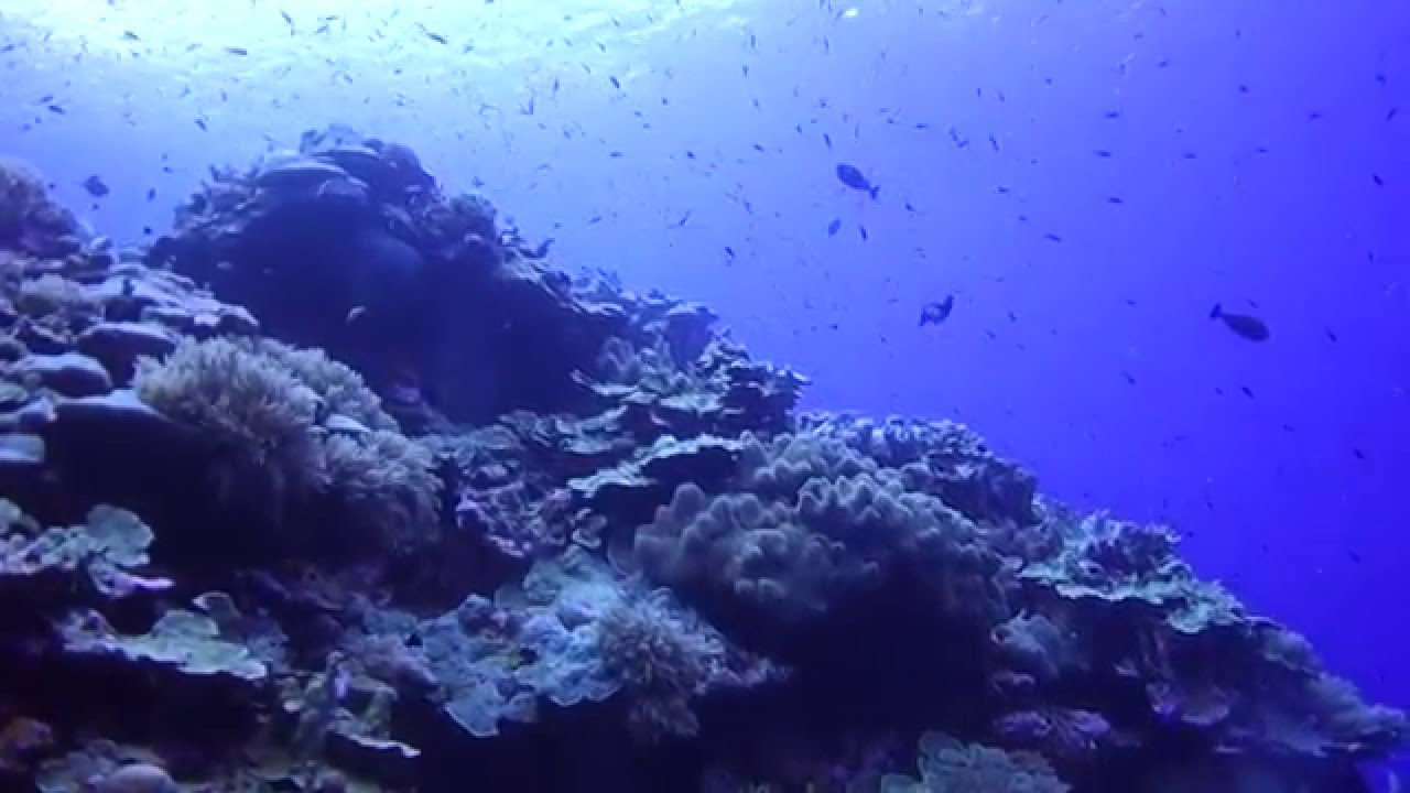 Pakin Decompression: Surface Waters