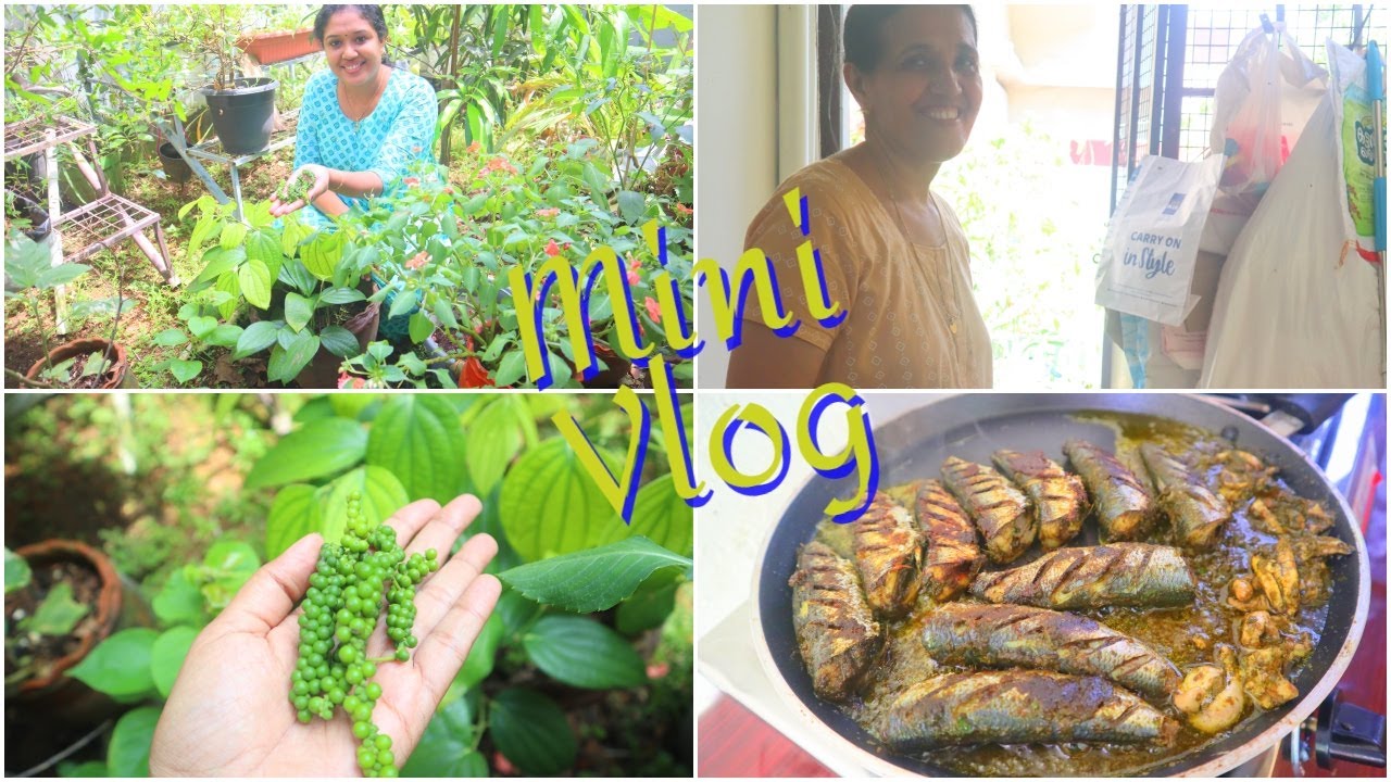 Mini Vlog || Cooking with Amma || Kurumulaku Mathi Fry || Anu's Kitchen
