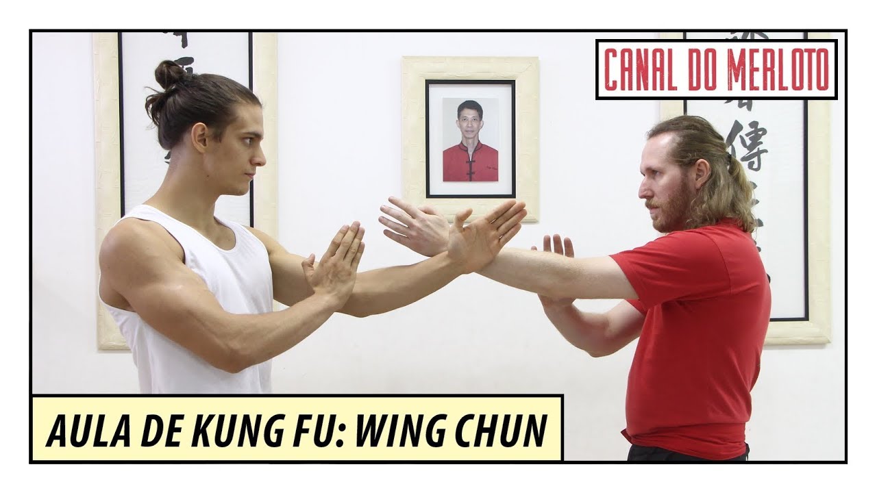 AULA DE KUNG FU: WING CHUN PARA INICIANTES | ARTE MARCIAL