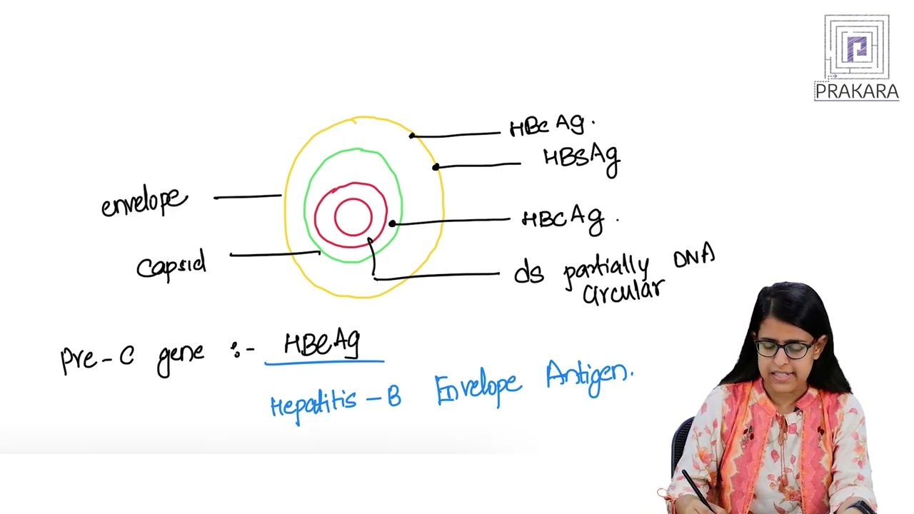 Viral Hepatitis - Causes, Types, and Pathology for Physiotherapy Students