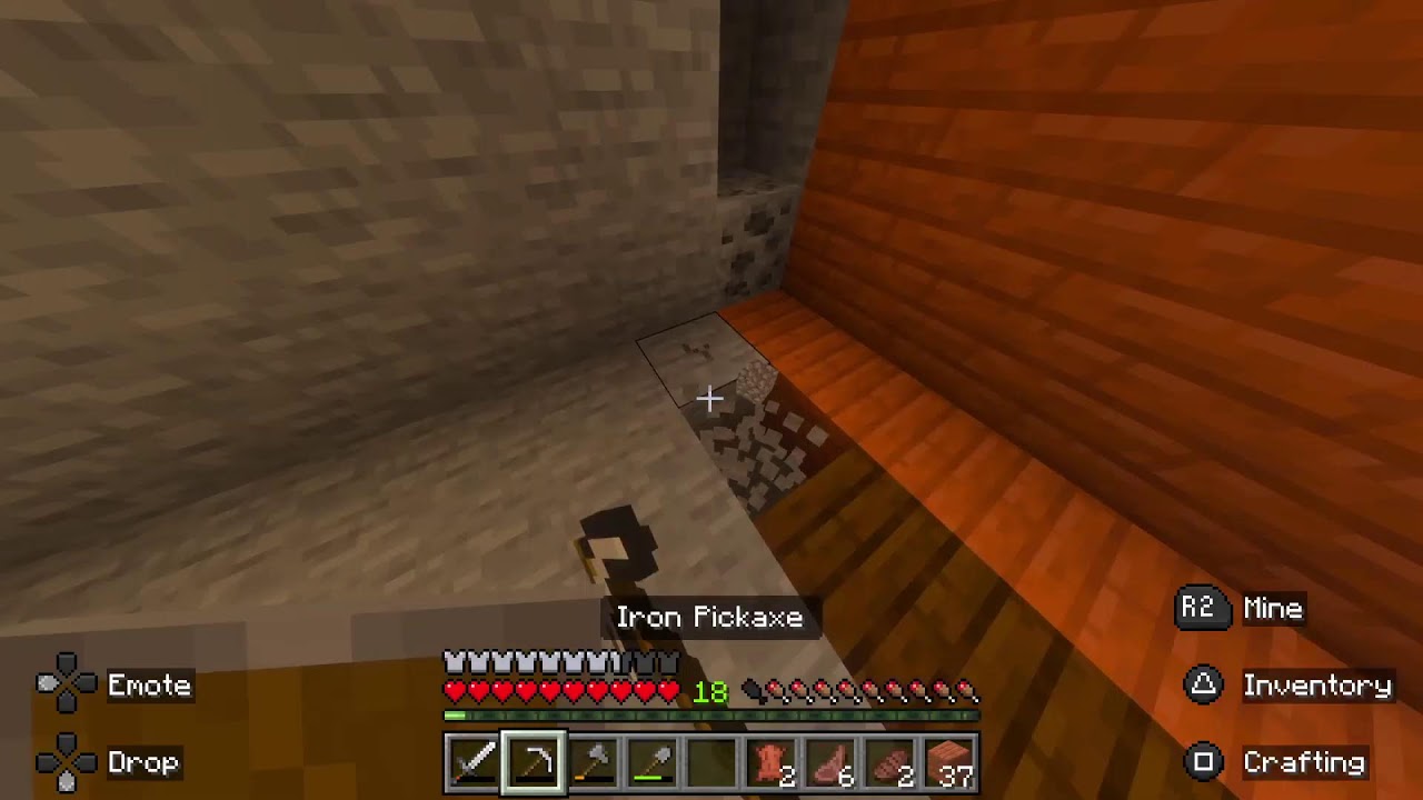 Minecraft with the boys