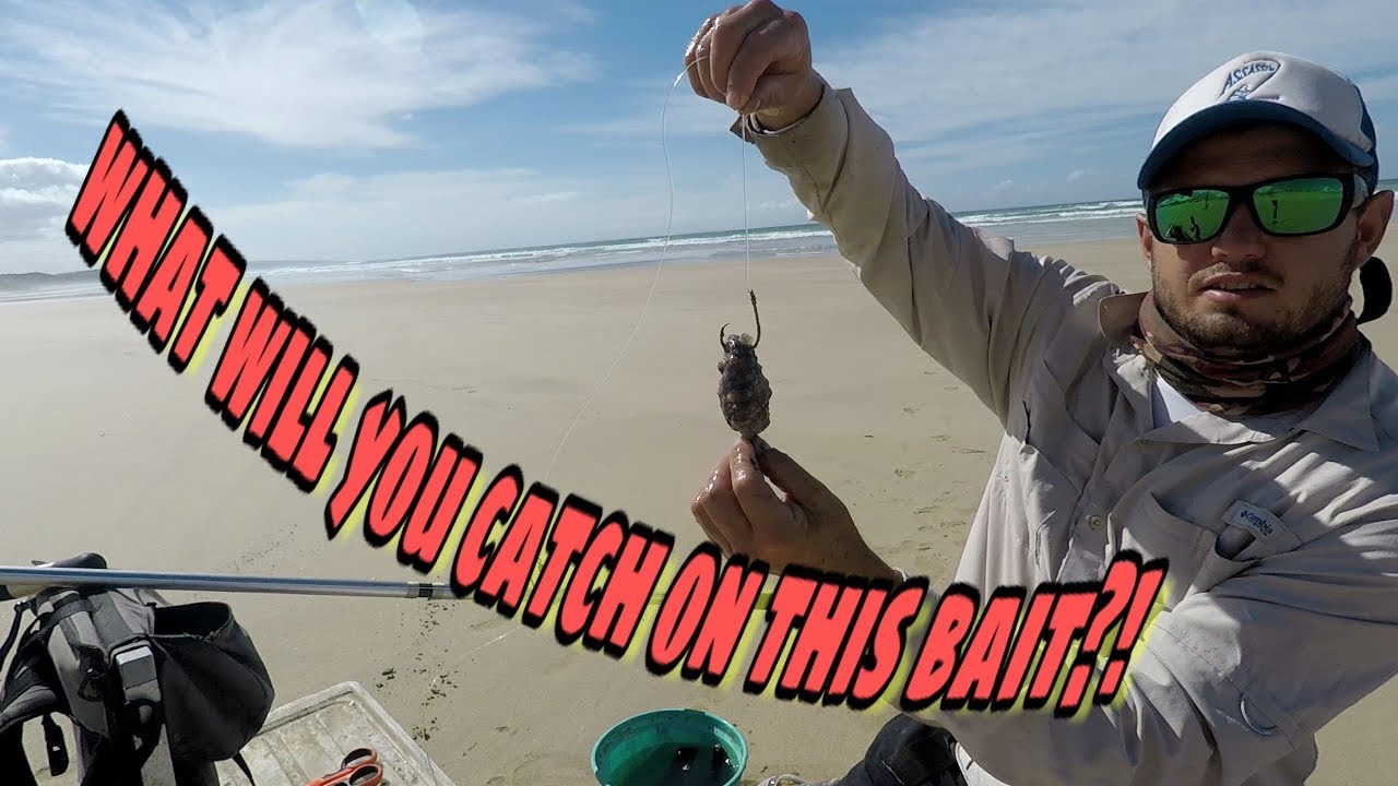 ZLF TWO BAIT DEMOS! Versatile baits to catch edibles and non edible-fish!