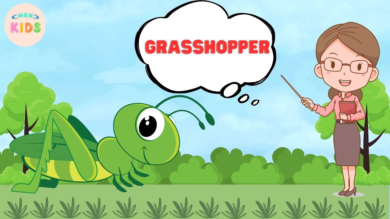 Grasshopper Facts For Kids 😊 Learn All About Grasshoppers | MON Kids