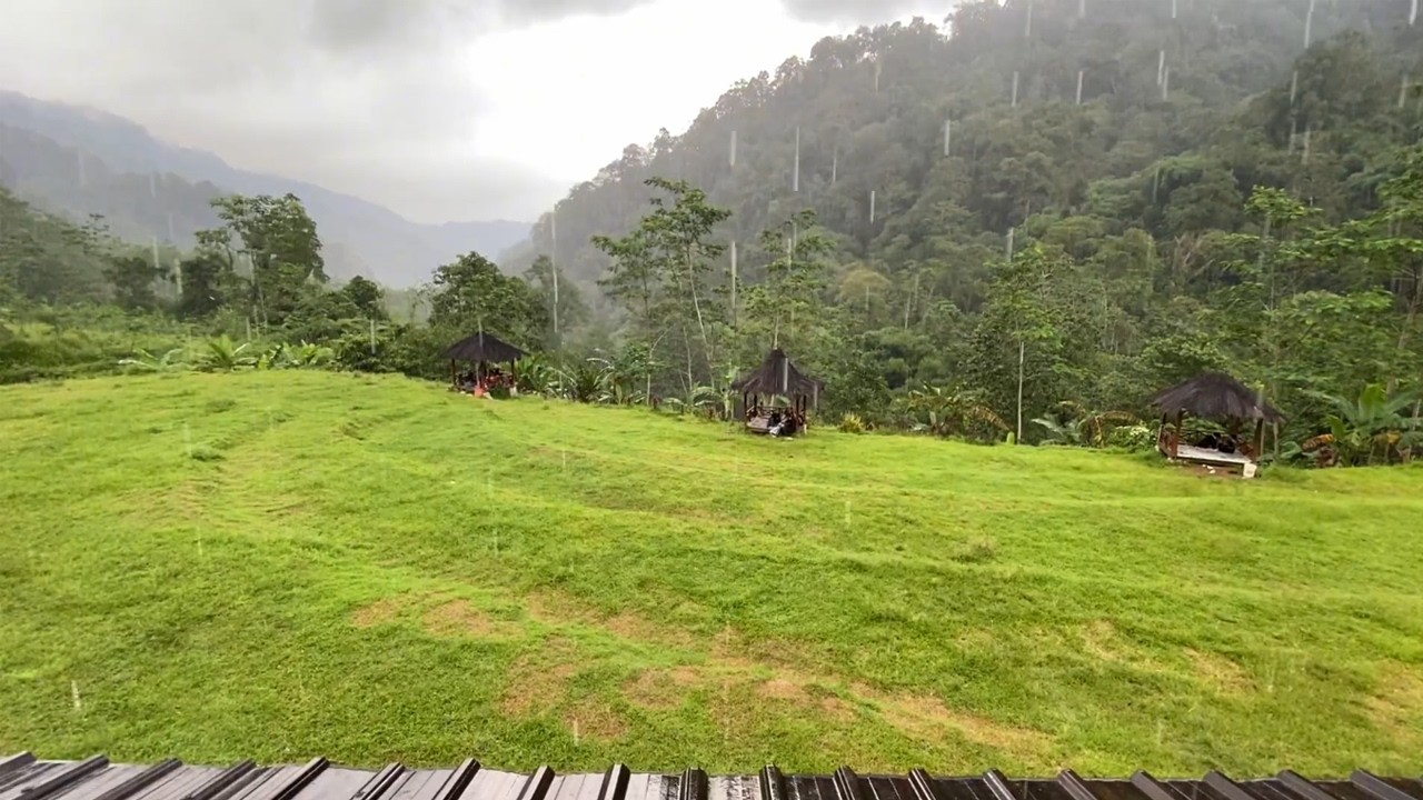 No Ads Rain Sounds for Sleep 🌧️ Tranquil Nature Rain for Relaxing & Stress Relief