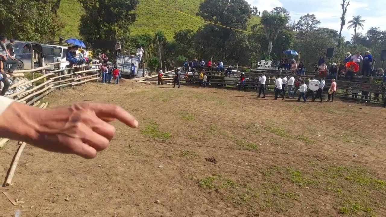 Torros en guyanag 4 de octubre 2025 