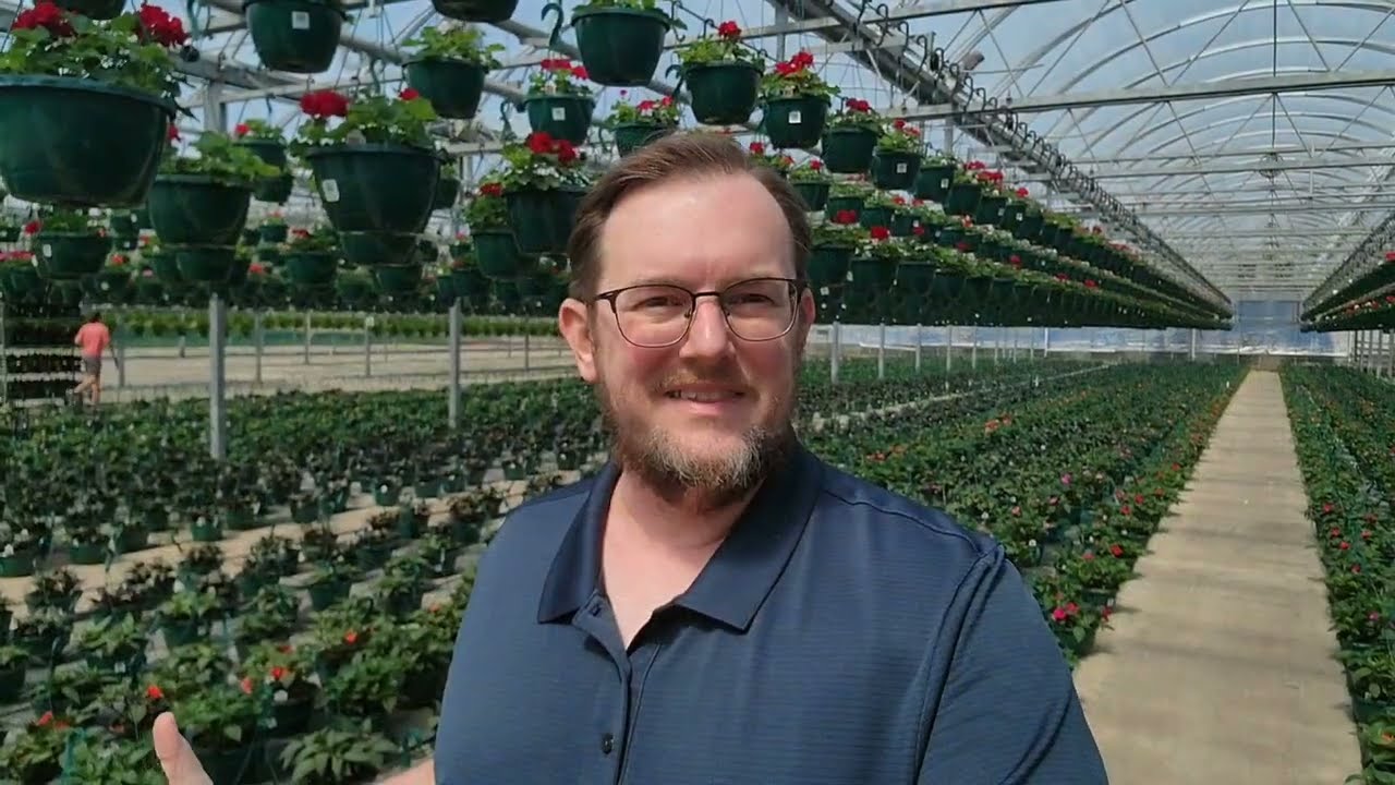 Bob's LIVE - Thursdays at 1 PM
