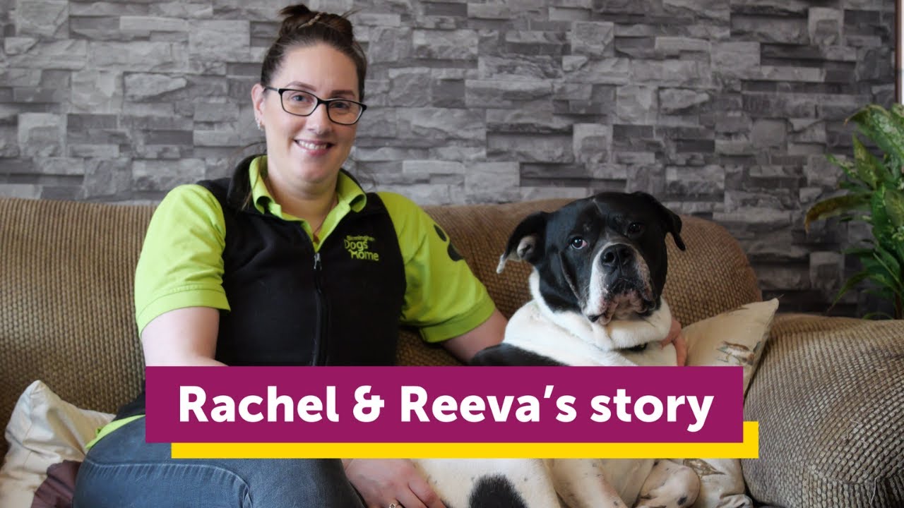 Miraculous Stories - Rachel & Reeva