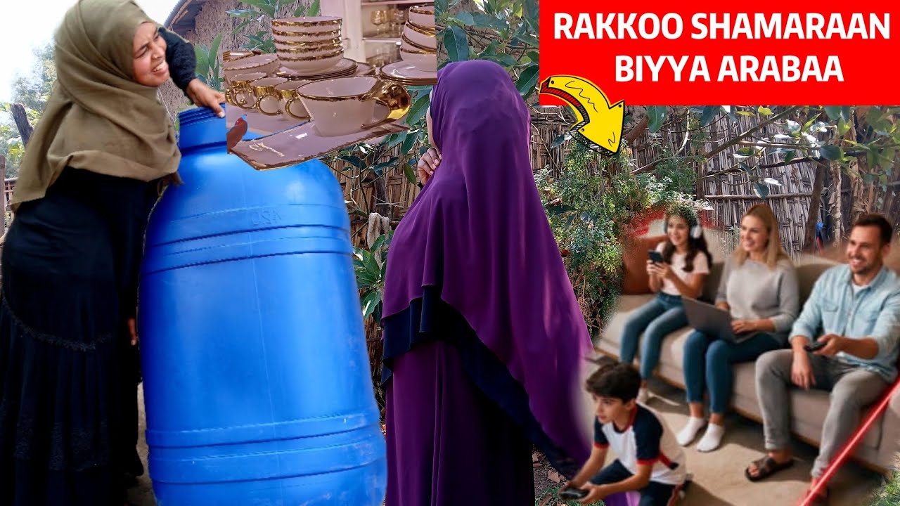 #Rakkoo#Shamaraan#Biyya#Arabaa#10 February 2026