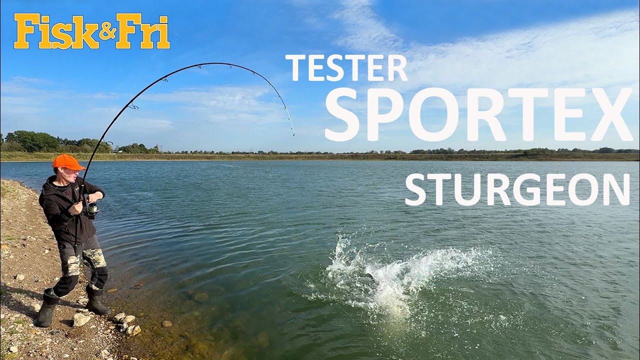 GREJNYT: STURGEON - NY LÆKKER STØRSTANG FRA SPORTEX [ENG SUBS]