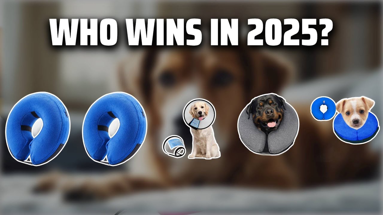 The Top 5 Best Recovery Collar in 2025 - Must Watch Before Buying!