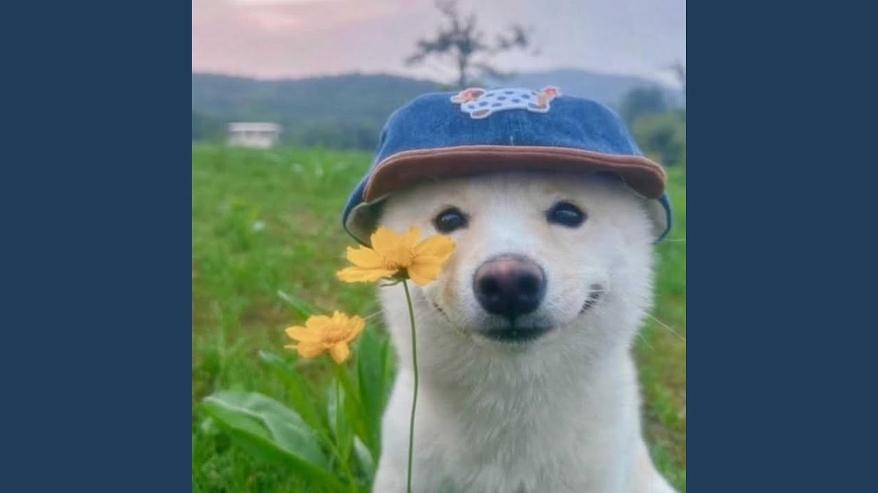 you are the sun