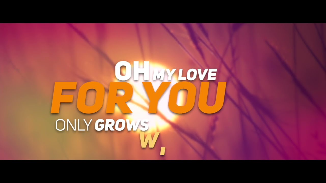 SUNRISE (LYRIC VIDEO) JERRY DAVILA & DJ PELOS X JORDAN GRACE FEAT. FUTURISTIC POLAR BEARS.