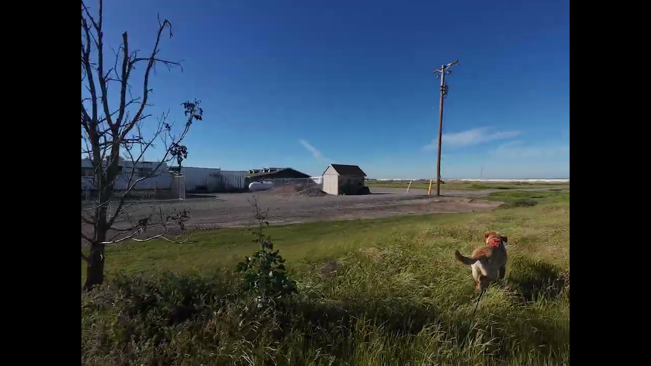 Trailing training 