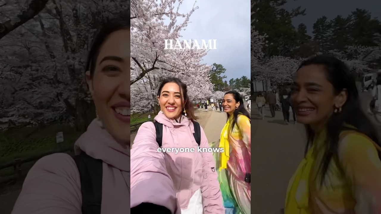 Japan&rsquo;s favourite spot for cherry blossoms! Day and night viewing (Hanami and Yozakura)
