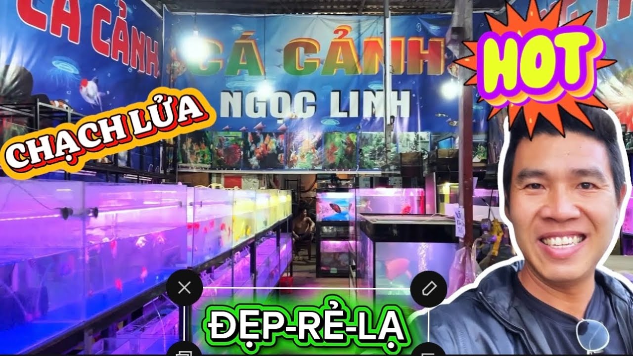 TIỆM CÁ CẢNH SIÊU KHỦNG | TOP 1 DÂN CHƠI CÁ KIỂNG NÊN GHÉ | NHIỀU LOẠI CÁ ĐỘC LẠ | #fish #trending