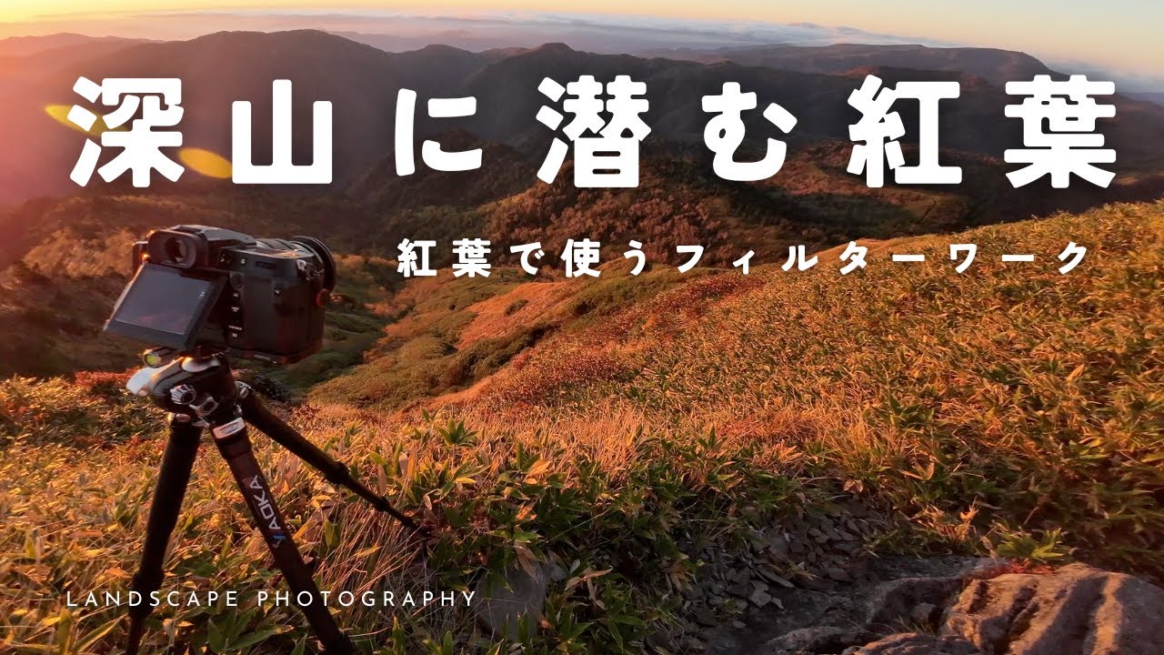 【自然写真】深山に潜む紅葉と絶景の朝・フィルターワーク