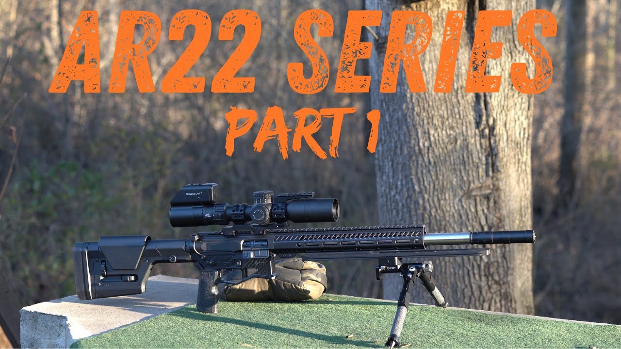 SUPER ACCURATE AR22'S.....Let's Do It