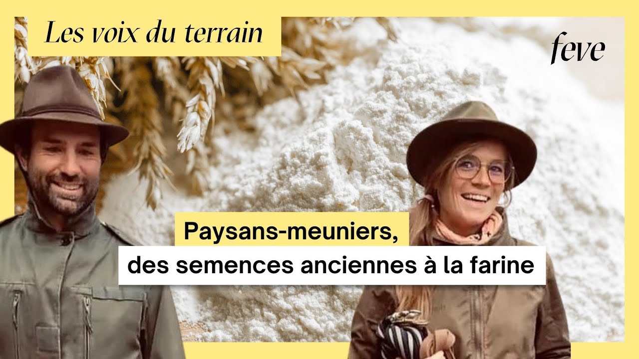 Paysan-meunier Des semences anciennes à la farine