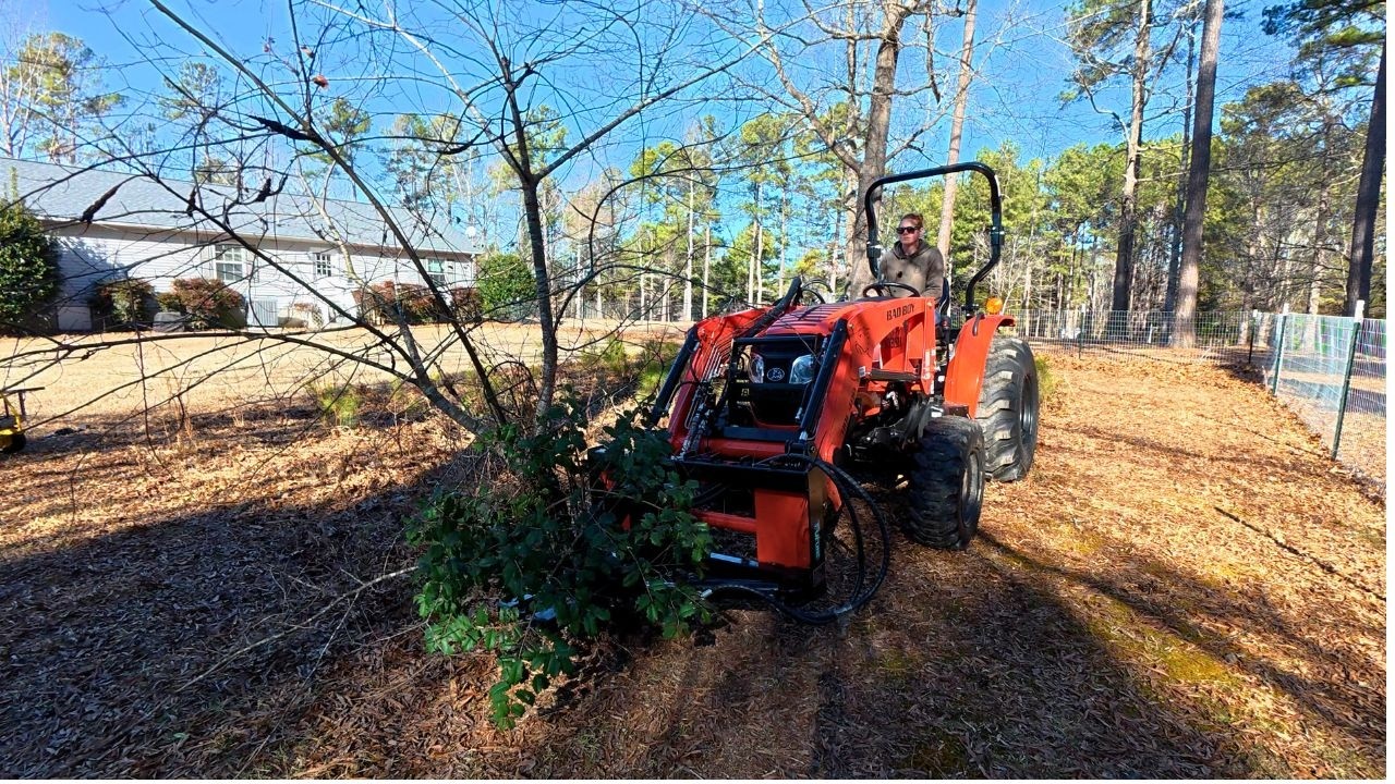 Flower Garden Prep - Pulling Trees