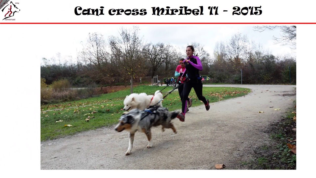 Activit&eacute;s canines du Trail Dog Adventure