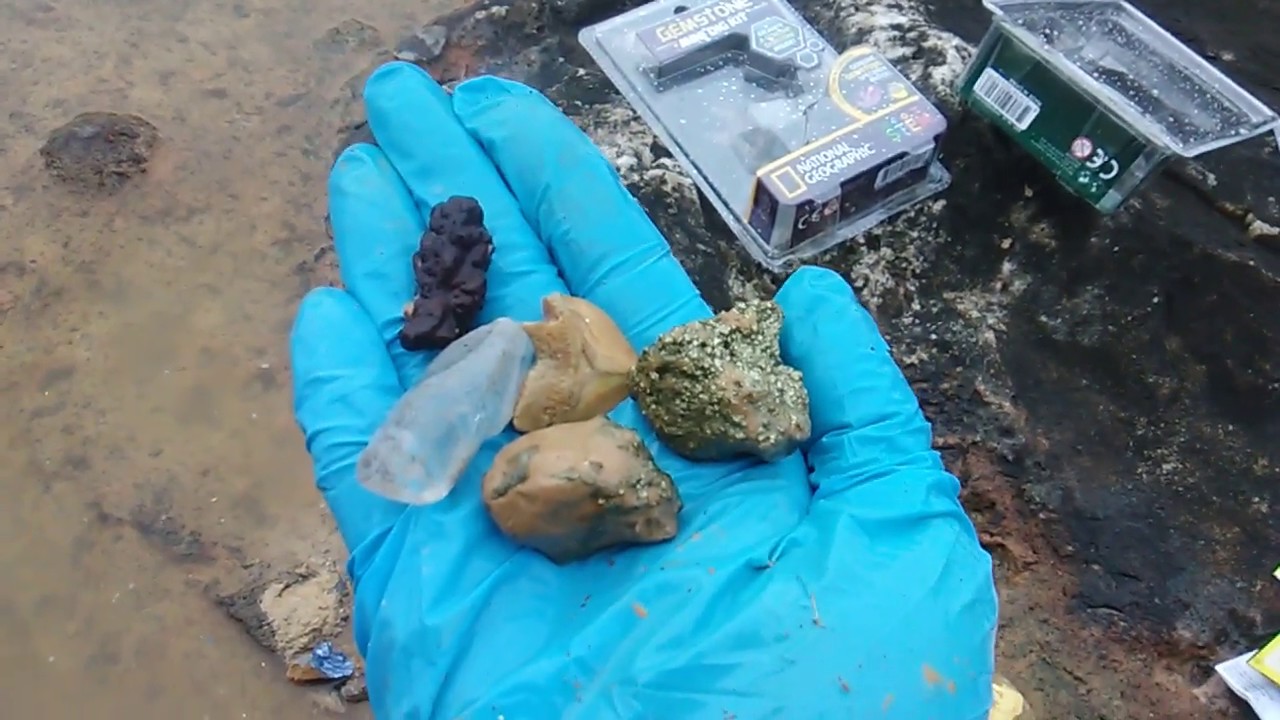 Mini Dig Kits! Treasures, Gems, Shark Tooth, and Dino Poop!