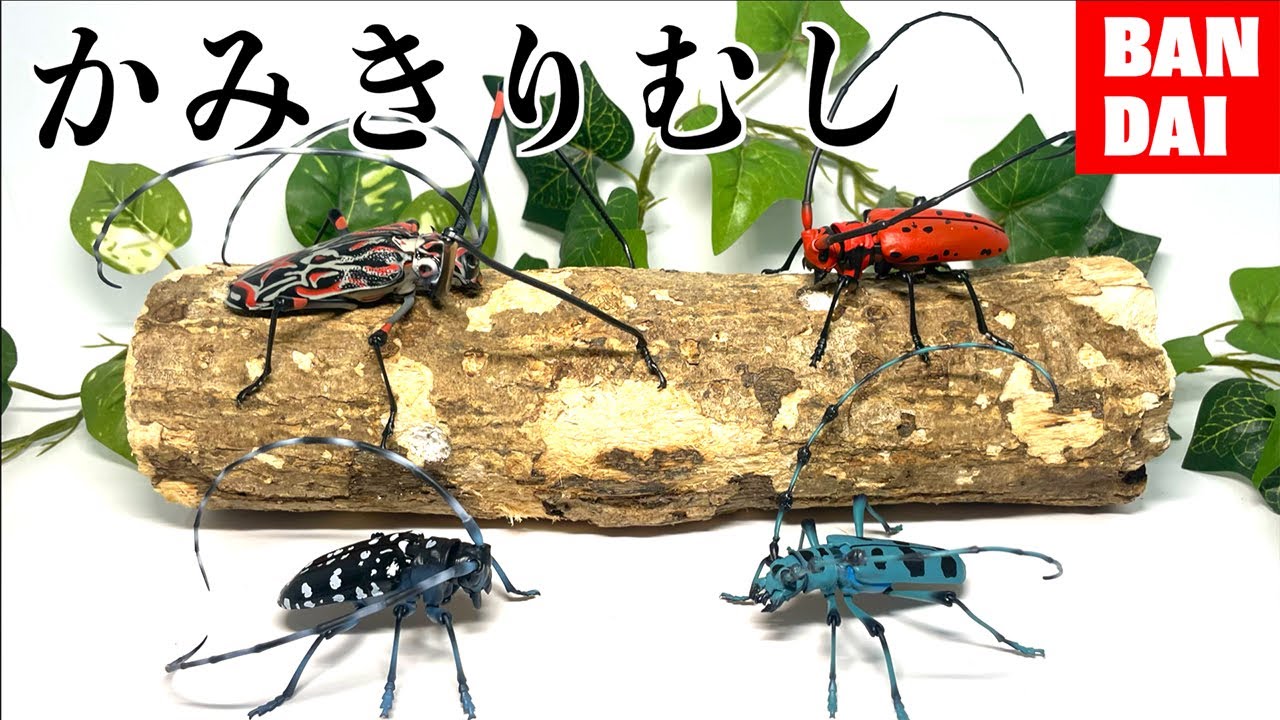 【神ガチャ】最新のカミキリムシのクオリティがヤバすぎる...!!