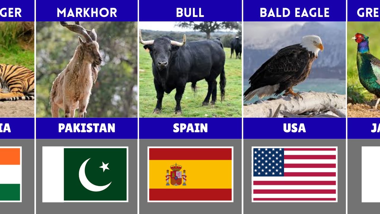 Countries and Their National Animals 🦁