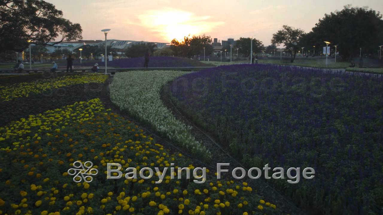 01107 P11Mzo -12a  台北花博 花海 2010 Taipei Int'l Flora Expo & Flowers+T.wmv