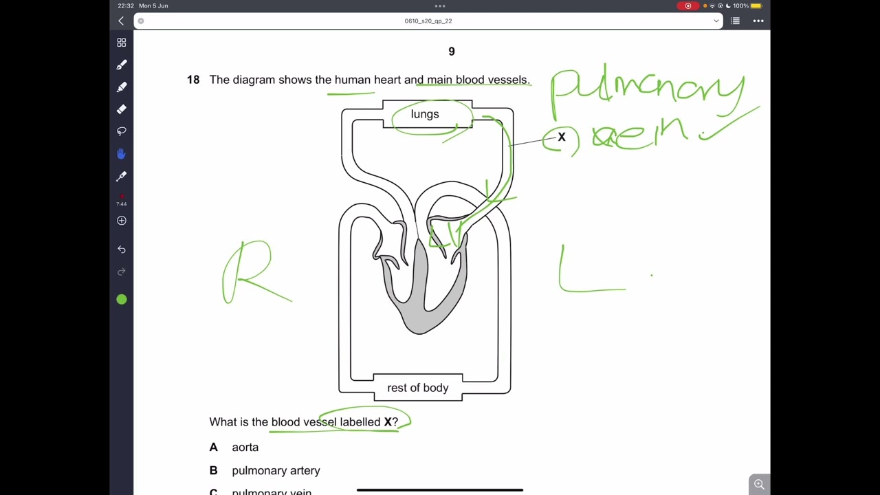 IGCSE Biology 2020 May June Paper 22 SOLVED (0610/22/M/J/20)