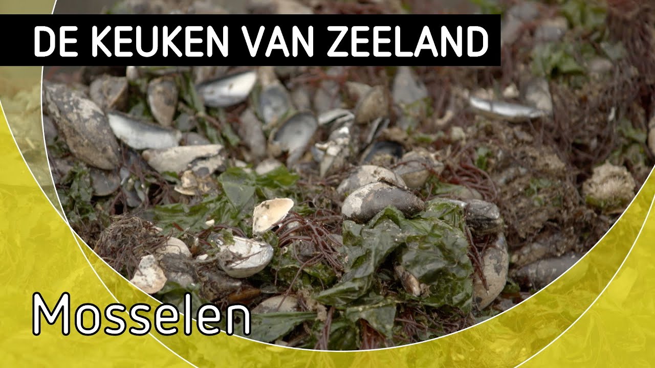 De Keuken van Zeeland, Mosselen