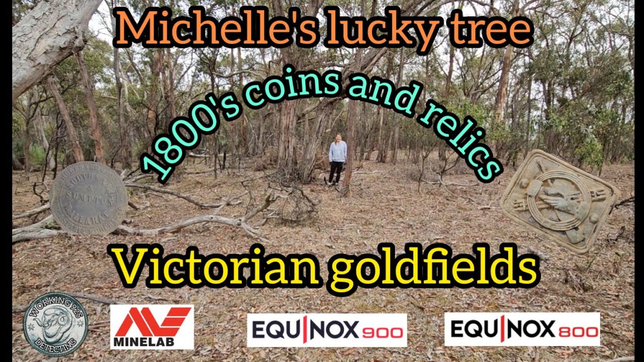 #28 Michelle's lucky tree      goldfields 1800's coins and relics with the equinox800 and 900
