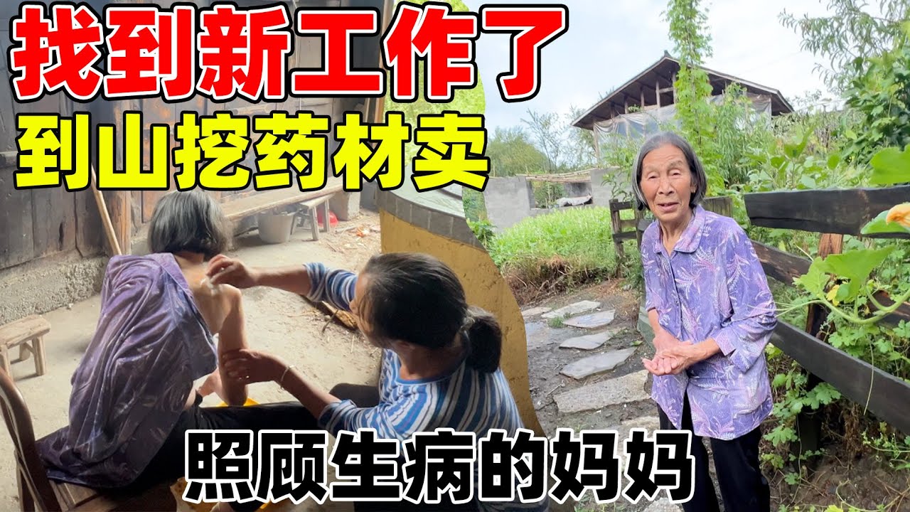 终于又找到新工作了，捡山上的药材去卖，既可以照顾生病的妈妈，也可以有基本的收入